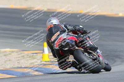 media/Mar-10-2024-SoCal Trackdays (Sun) [[6228d7c590]]/9-Turn 8 Backside (1150am)/